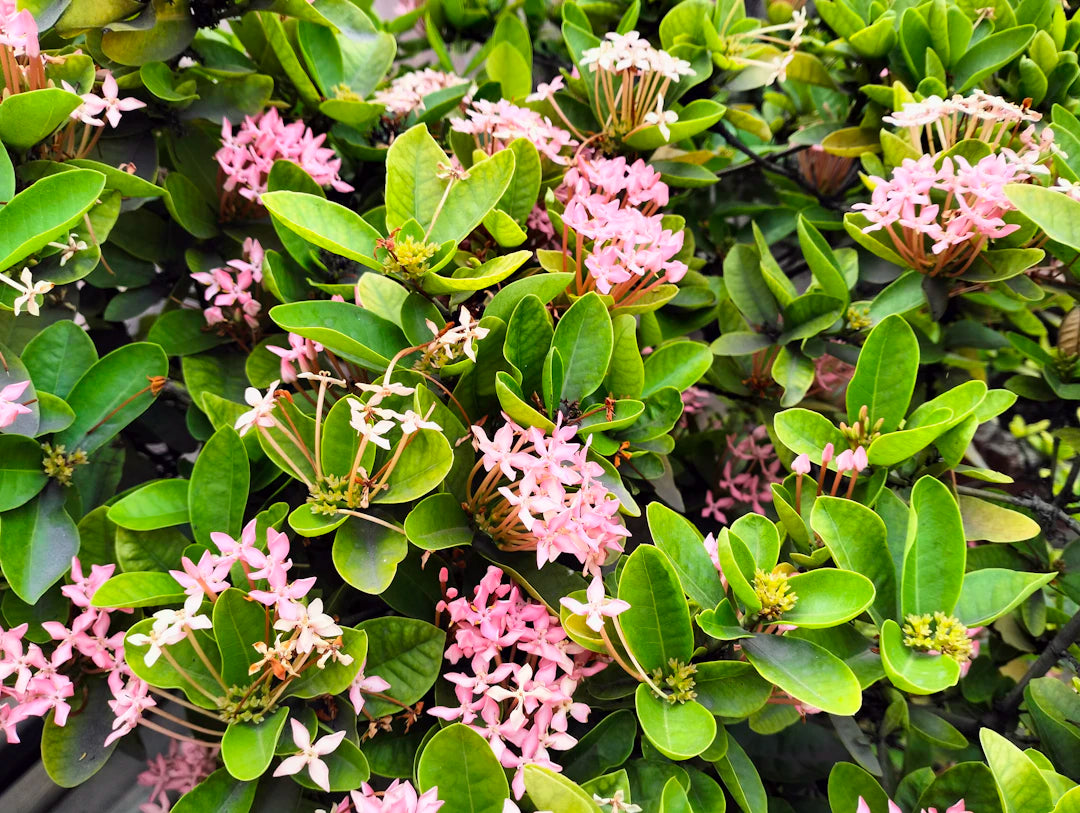 Tüketici Davranışlarını Etkileyen Hediyelik Eşya Trendleri